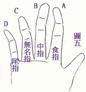 手指向后弯的人命运
