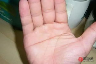 两手都断掌女人命运