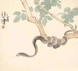 属蛇的男人命运