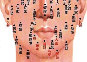 男的手背窄的人命运