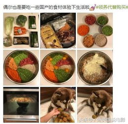 王思聪食谱