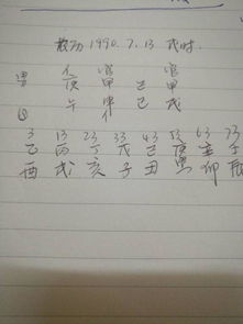 2006阴历7月13日人命运