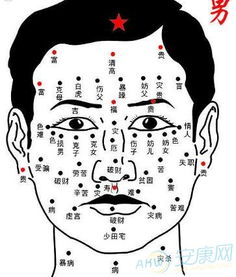 腿上毛多的男人命运