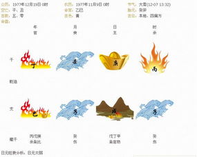 11月初7子时出生的人命运