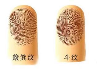 一个斗的男人命运