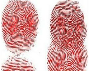 9个螺的人命运怎样