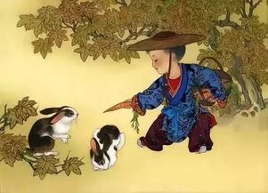 卯时中的人命运