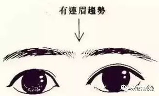 眉毛断节的人命运怎样