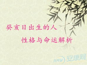 癸亥日的人命运