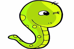 1965正月出生属蛇人命运