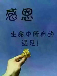 个人命运有社会掌握的名言