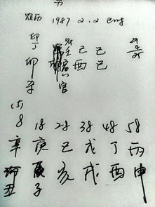 早上十点出生的人命运