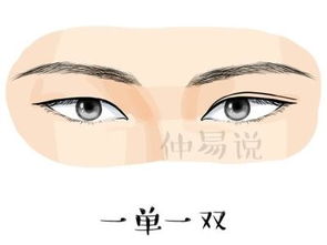 眼睛一单一双的人命运