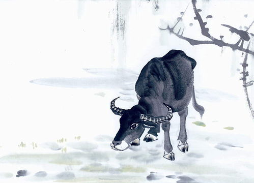 属牛未时出生的人命运