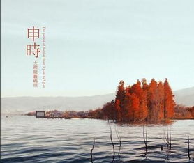 申月申时出生的人命运解析