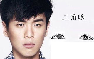 三角眼男人命运好吗