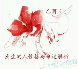 乙酉月生人命运