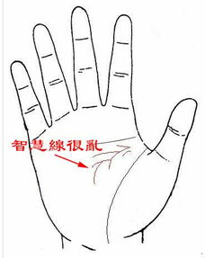 手掌深的人命运怎么样