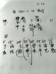 198811月14日出生的人命运