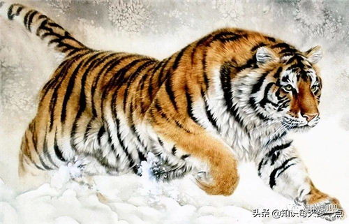 八六出生的人命运