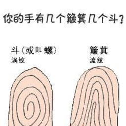 一个斗没有的女人命运
