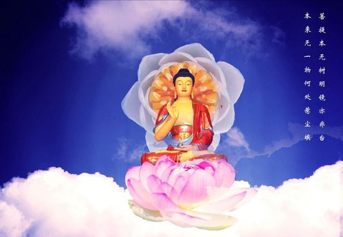 1987八月三十日未时出生的人命运怎么样