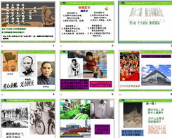 个人命运决定与社会进程
