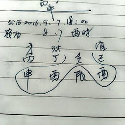 19837月初9生人命运如何