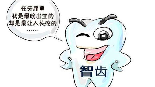 没有智齿的人命运