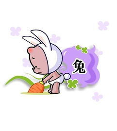 属兔人命运如何