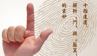 一个簸箕的男人命运