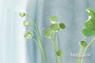 5月初五出生的人命运