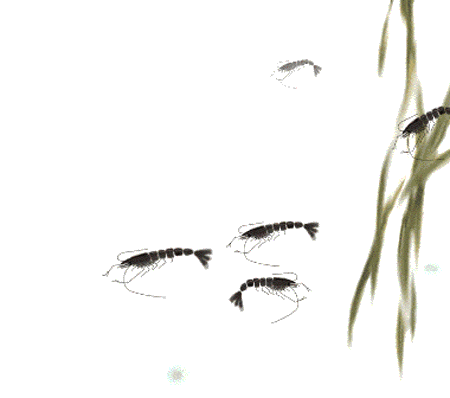 脾气不好的人命运