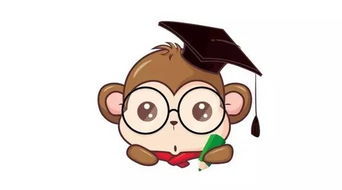 在路上出生的人命运如何