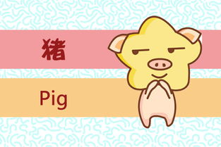 阴历四月属猪的人命运如何