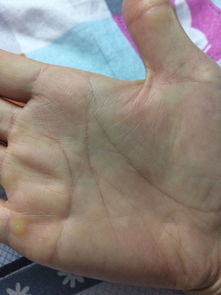 阴历10月22出生的人命运怎么样