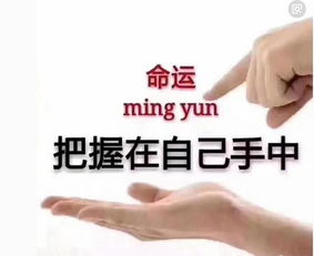 个人命运由个人掌握攻击提问
