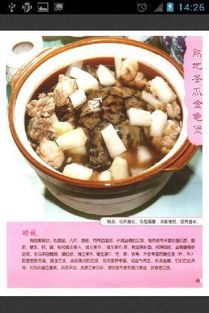 初期孕妇营养食谱大全