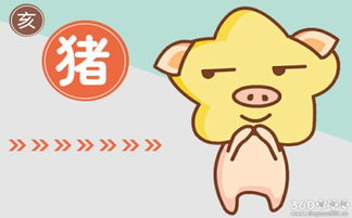 腊月出生的女人命运