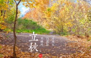 2017年立秋出生人命运