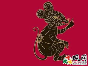 属鼠十二月生的人命运
