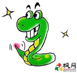 属蛇6月出身的人命运如何
