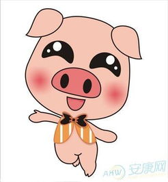 199511月属猪的人命运如何