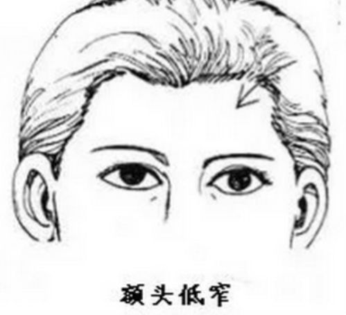 额头很窄的人命运怎么样