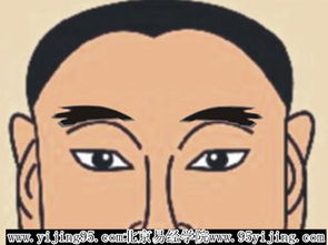 扫把眉的男人命运好不