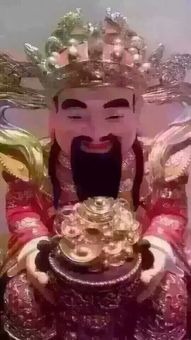 19885月8日出生的人命运