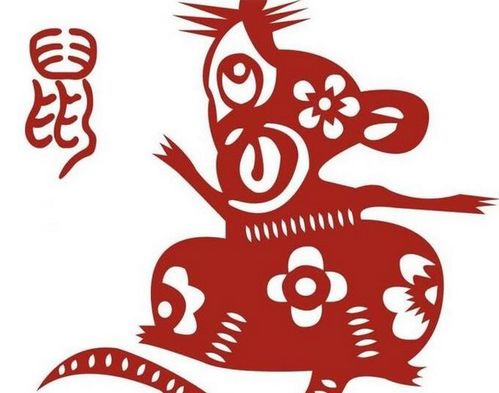 2019哪些属相的人命运好
